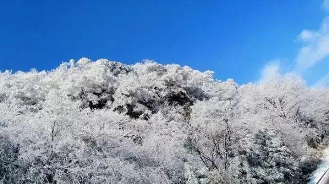 青海省第十四届人民代表大会第二次会议关于政府工作报告的决议