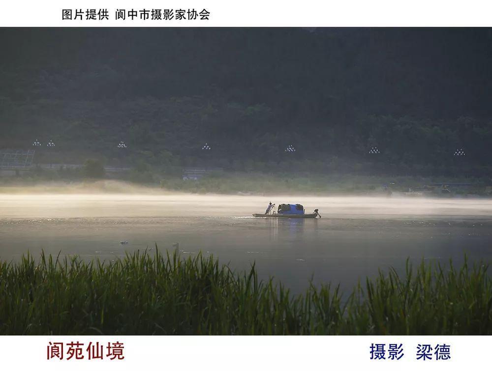 中证金融公司:暂停转融通借入证券实时可用