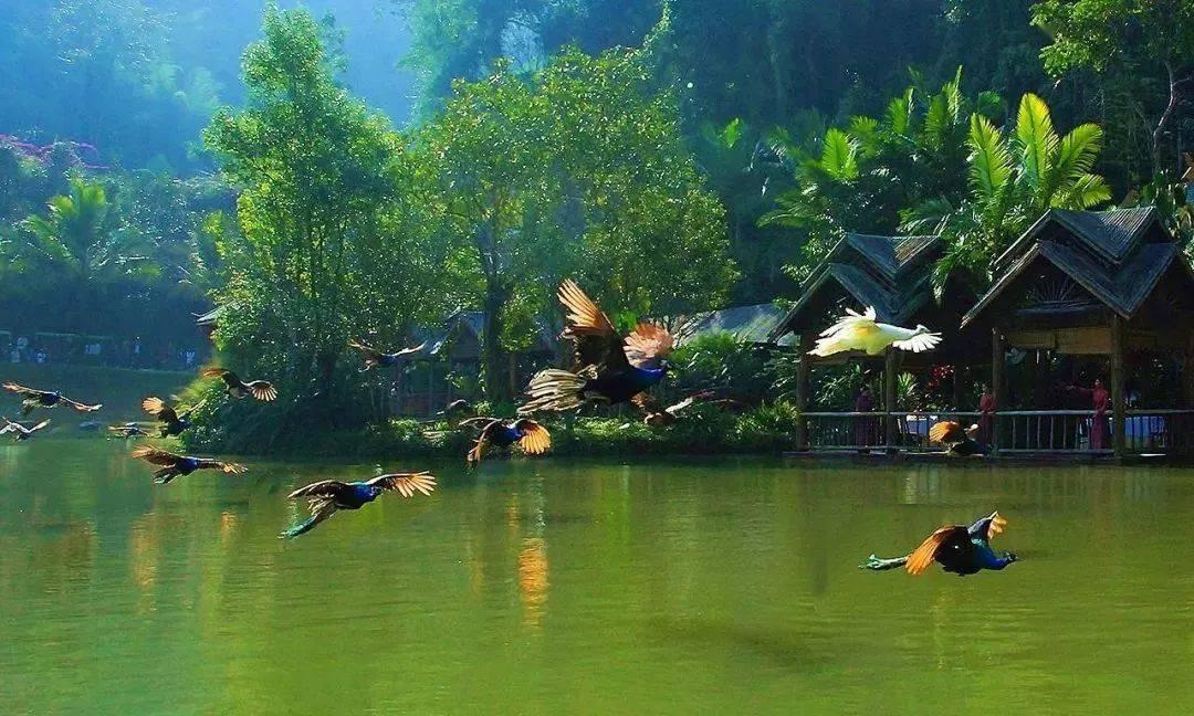 逃离潮湿的房屋