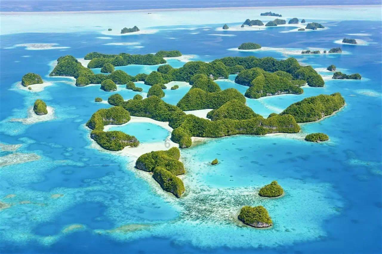 吸血鬼的谜语