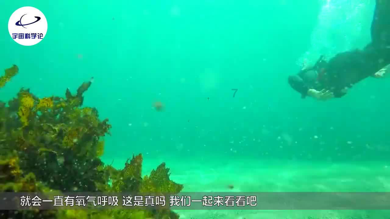 守护飞行城堡
