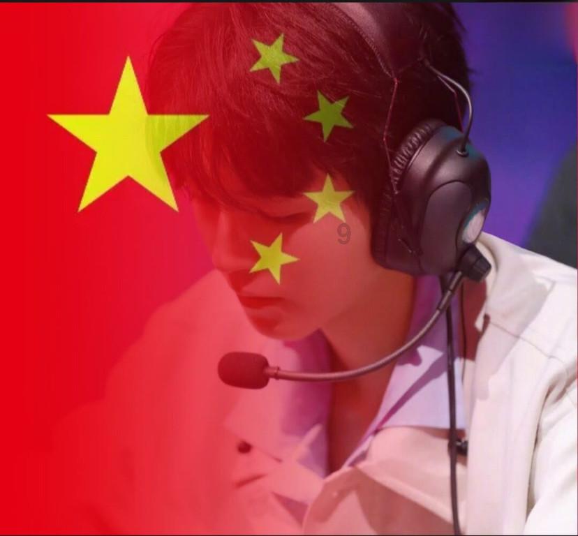 哈尼和她的宠物们